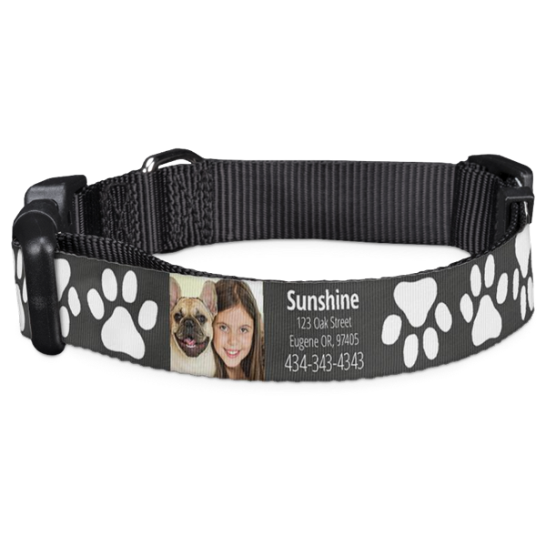Personalized Pet Collar
