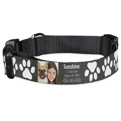 Personalized Pet Collar