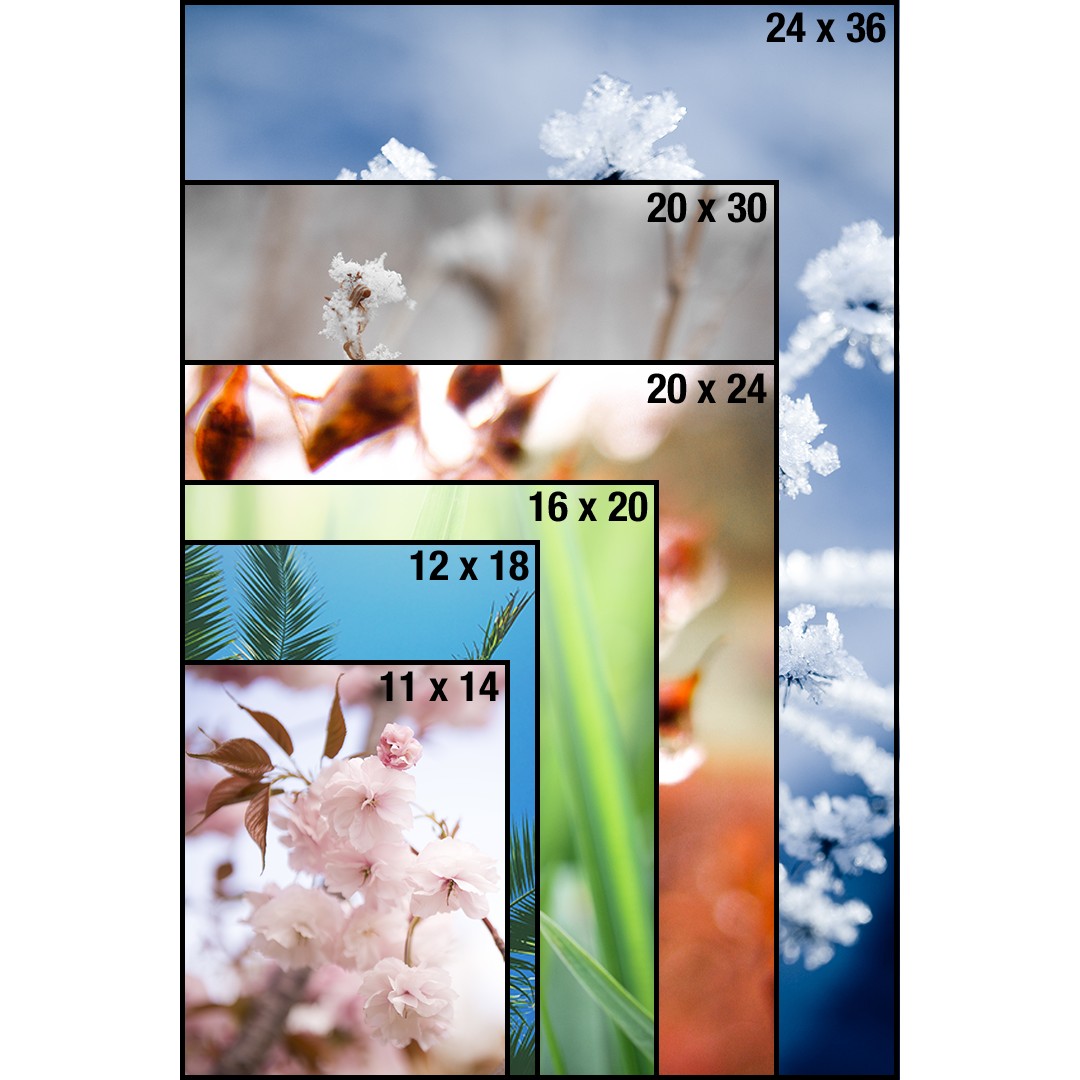 Posters & Enlargements In Canada