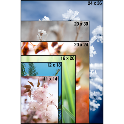 Posters & Enlargements In Canada