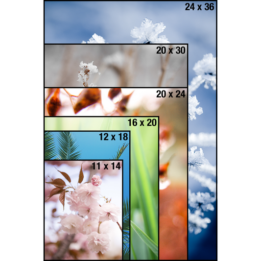 Posters & Enlargements In Canada